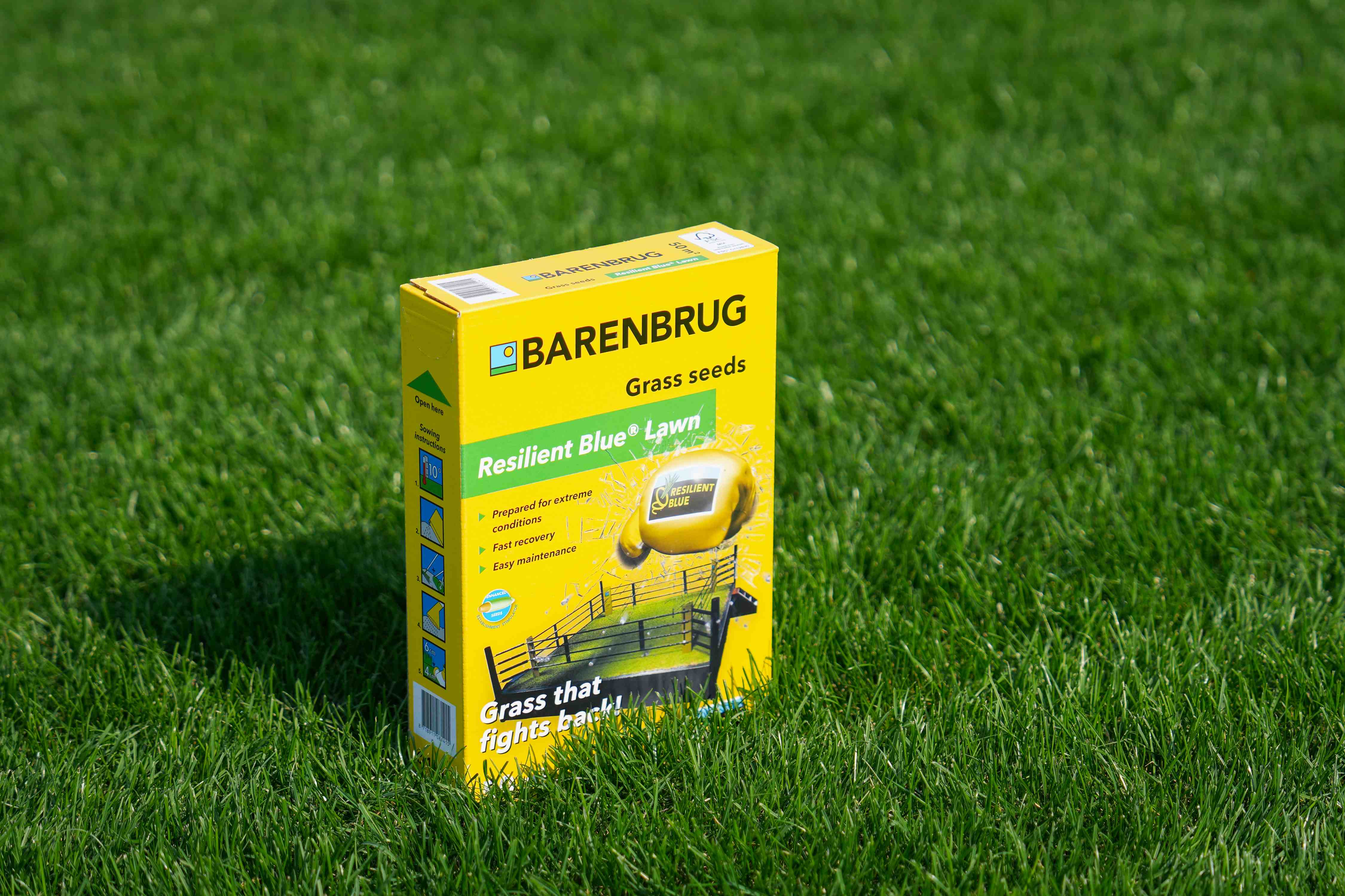 Resilient Blue Lawn 1.jpg